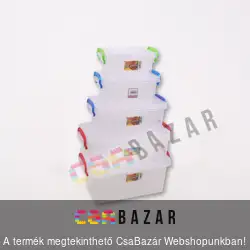 Szögletes tárolódoboz füllel 12L