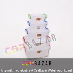 Szögletes tárolódoboz füllel 2,5 L