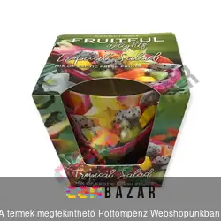 Illatgyertya, illatmécses üvegben Fruitful Delights