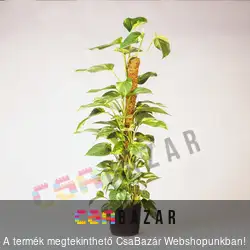 Kókuszrost futtató karó 90cm