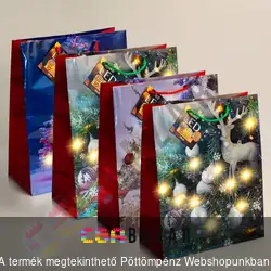 Karácsonyi ajándéktasak LED-es nagy - 26,5 x 33 x 13 cm - többféle